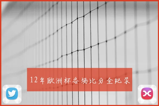 12年欧洲杯各场比分全纪录
