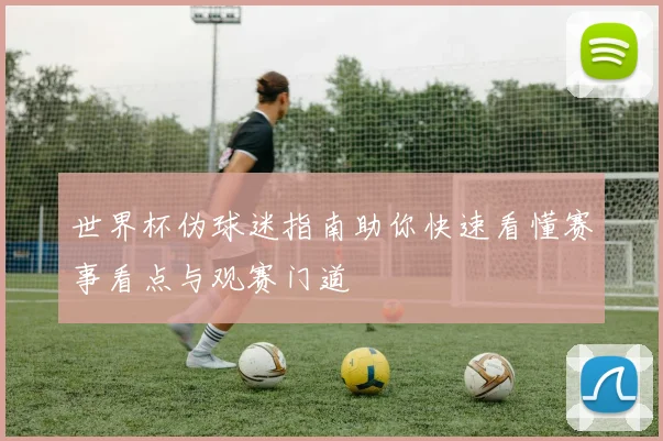 世界杯伪球迷指南助你快速看懂赛事看点与观赛门道